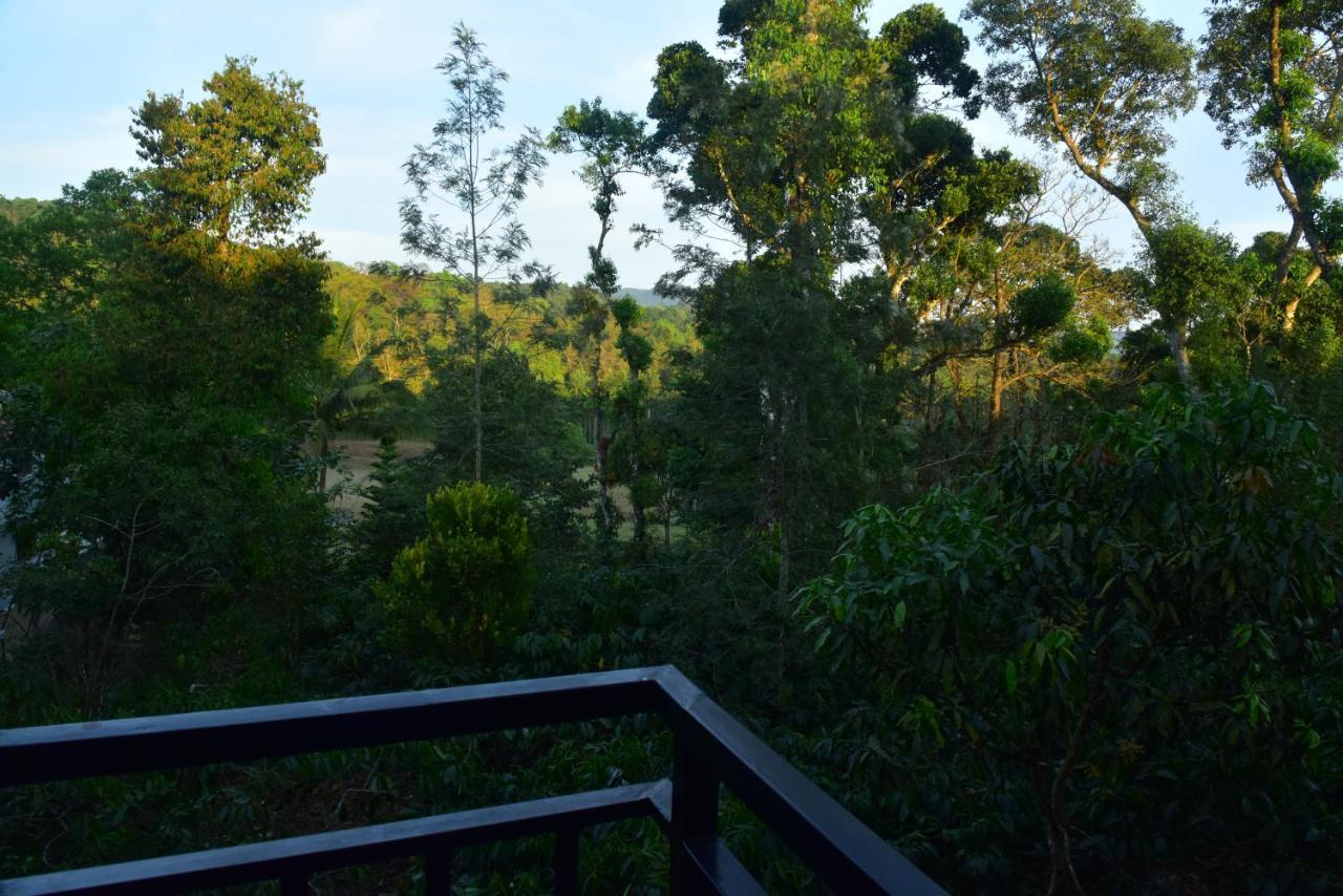 Grand Misty Heaven Villa Madikeri Luaran gambar